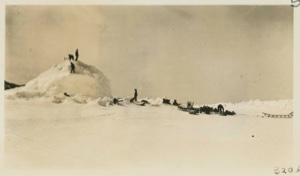 Image of Eskimos [Inughuit] getting ice